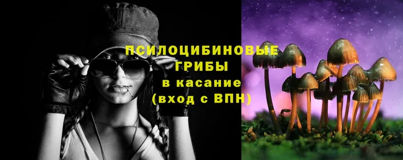 Галлюциногенные грибы GOLDEN TEACHER  KRAKEN tor  Усть-Лабинск  где купить  